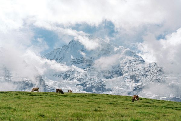 Swiss Alps, Switzerland