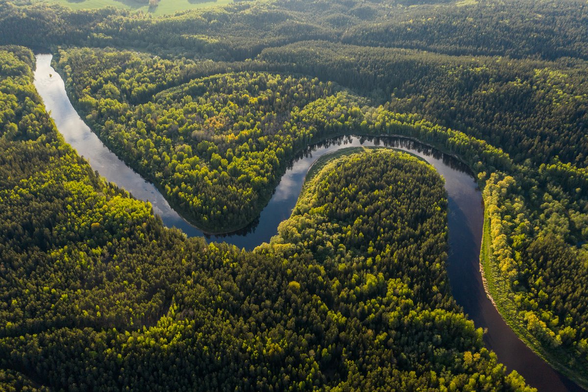 Amazon Rainforest, Brazil — photo 1 of 5