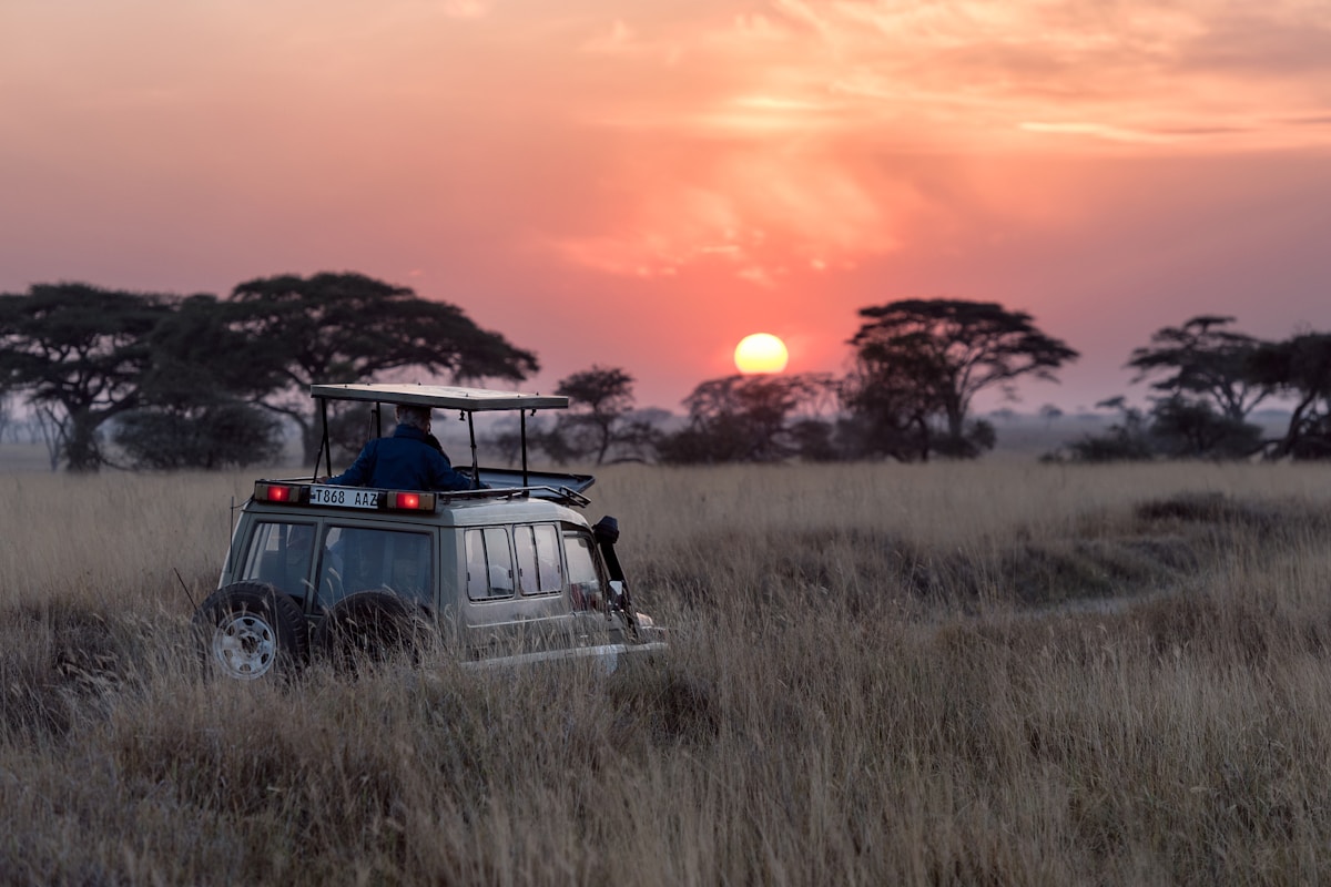 Serengeti National Park, Tanzania — photo 1 of 5